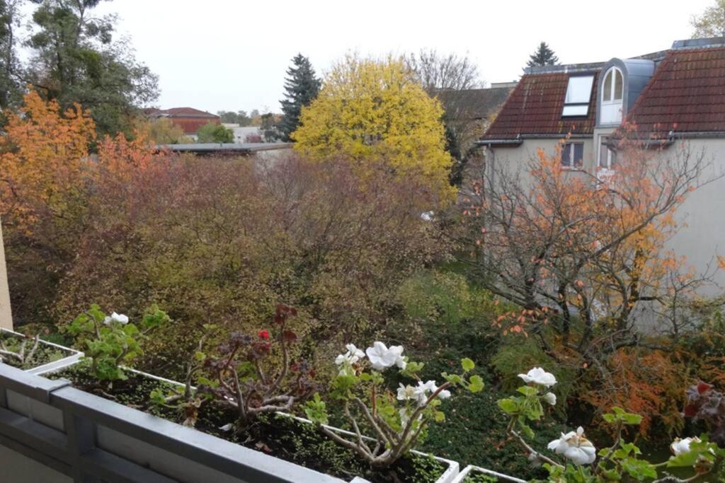 Schoene, Ruhige Wohnung In Berlin-Steglitz Bagian luar foto
