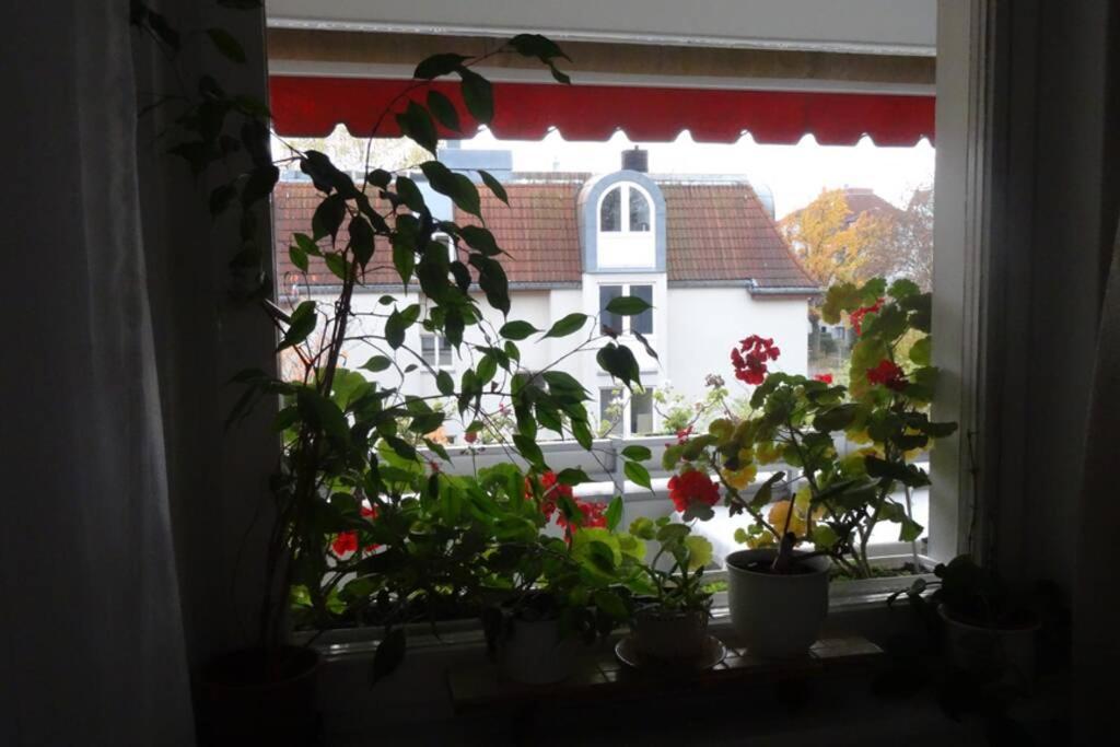 Schoene, Ruhige Wohnung In Berlin-Steglitz Bagian luar foto